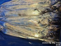 {통영호반호} 26일 철수조황임니다 ~금욜부터 여유~ 사진