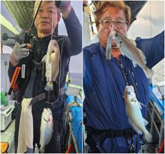 8월25일 개우럭 + 왕사이즈 백조기로 만쿨조황. 잘~올라옵니다.~^^[시즌마지막 출조 일요일 여유자리있어요~.] 사진