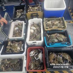 꽃게낚시~♪ 8 . 26( 수요일 ) [[[ 무창포프로낚시 ]]] <<<<<< 빅 마 린 >>>>> 꽃 게 조황보고.... 사진
