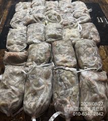 26일 야간 홈런호 345여수 마무리 조황 사진