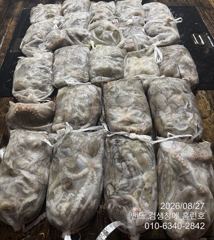26일 홈런호 대박조황 야간문어  345수 언제나 굿조황 마무리 합니다 사진