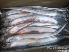 [거제] 텐야 텐빈 !!!! 점점 날씨가 풀리기 시작하네요!!! 사진