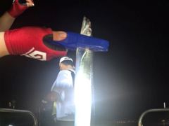 [마산] 내만갈치 체력으로 깡으로 !!! 200수 이상 낚낚하러 GOGO… 사진