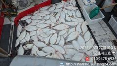 군산사크호 8월27일 광어조과입니다 사진