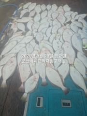 28일, 날이면 날마다  쏟아지는 대광어들.  웬 광어가 이리도 나오는지~내일도 갑니다~  군산 범고래호  사진