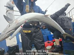 28/금, 오후타임 대삼치들 낚시 중간 현재상황! 사진