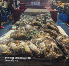 [격포] 8월27일 부안 한아름호 꽃게낚시 사진