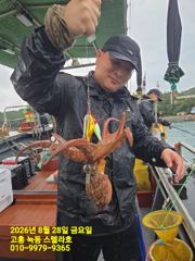문어낚시 사진