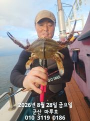 8월 28일 야간 꽃게 낚시  실시간 조항~~ 사진