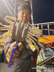 [군산] 8/28 금요일 군산최강피싱 <#강남호> 야간꽃게낚시 실시간 사진