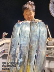 [[제주 뉴그린호(2호) 8월 28일 야간갈치 조황]] 사진