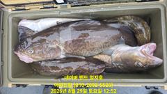 2026 08 29 대구라바 사진
