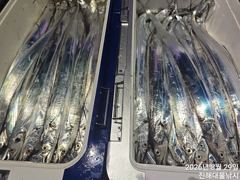 29일새벽,내만칼치 씨알커지고 3지3지반까지 미친입질폭팔~일욜예약가능~ 사진
