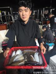 [여수,광양] 29일 금오열도 무늬오징어 조황입니다 사진