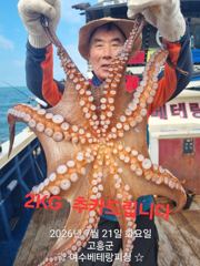 돌문어 출조 모집중 수요일(2일)~7일(월) 쭈꾸미전투 출조 토요일(5일) 금어기 해제 모집중입니다 황금물때 시작 망태기가득 채우러 가실분들 미리미리 연락주세요 사진