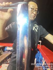 은빛 돼지 갈치 텐빈 월요일 4분가능 화부터 자리여유