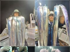 [VIP 광명호] 기상 좋은 1일(화), 2일(수) 통영 먼바다 쿨러 가득 채우려 갑니다 -- 자리 여유 -- 사진