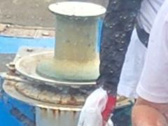 황금손은 사리물때도 필요없다 사진