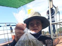 [사천] 쭈꾸미출조 내일 예약중입니다 사진