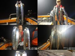 (뉴~패밀리호) 백도권 갈치 조황입니다. 사진