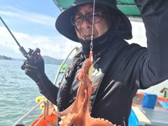 [사천] 1일쭈구,갑돌,문어조황(삼포김선장~예약중입니다