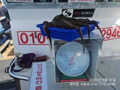 "여밭돌문어" 1000g1000g1000g900g외 키로들과 개인13수11수11수10수외 (예약가능)