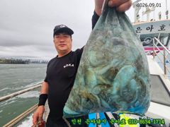 9월1일 인천 은아낚시 은아호 쭈꾸미체험배 대박조황입니다~~^^ 사진