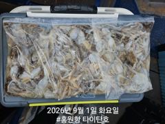 [홍원항타이탄호]8월23일(일) 사이즈 좋은 백조기로 찬거리 장만하고 왔습니다.