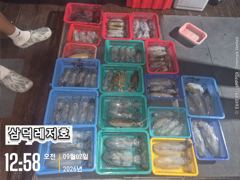 [팁런]무늬.일인두자리,마리수(오늘.소수인원,출항확정)