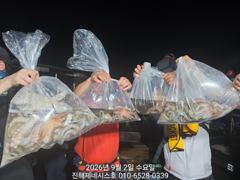 [진해] 문어] 목요일 야간예약가능~ 1.2k 1.3k 굿~ 자리여유