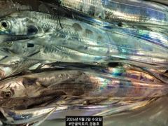 [진해] 먼바다왕갈치외줄16석. 좀잡앗습니다. 씨알굿.11일부터예약가능