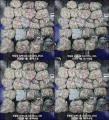 9월2일 쭈꾸미 망태기 조황입니다~!! 사진