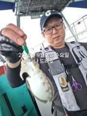 9/2일, 군산 쭈꾸미~재미있는 쭈꾸미낚시~갑돌이는 보너스~내일도 갑니다~군산 나드리호
