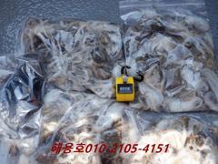26년9월3일조황