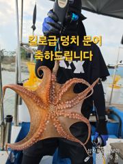 삼천포 마린보이 9. 3. 목요일 주간문어 대박조황으로 다녀왔습니다. 사진