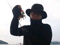 [사천] 삼천포 쭈꾸미 세자리수조황 팍팍 사진