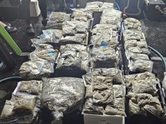 [서천,보령] 2026년9월3일(13물) 까치선장 자이언트호 쭈/갑 380수,… 사진