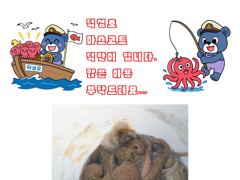 3시간전 [군산] 3일 주간 홈런호 쭈꾸미 18명 마루리 조황 사진