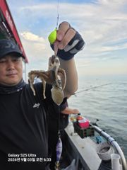 9월3일 아침에 느냐느냐 있었지요 사진