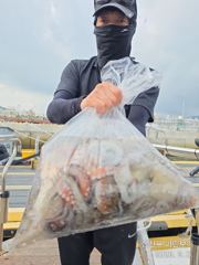 [사천] 삼천포 마린보이 9. 6. 일요일 풍성한 주간문어 뜯으로 출항합… 사진