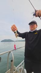 9월 3일 장원 새자리수 오버 쭈꾸미 조황임다!