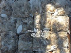 9/4일, 군산주꾸미~ ~점점 좋아지는 쭈꾸미 굿조황~군산 포세이돈호