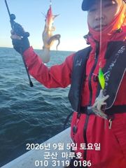 9월5일 쭈꾸미 실시간 조항~☆ 사진