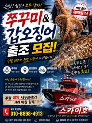 ●9/5일《쭈꾸미》 조황~ 9/7일부터《쭈&갑》출조 나갑니다~