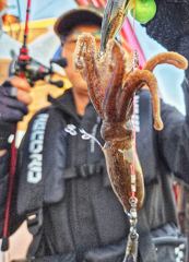 오늘의조황 - [배쯔호] 9월5일 주꾸미낚시 - 마검포 팀바이트호,선상낚시 전문 사진