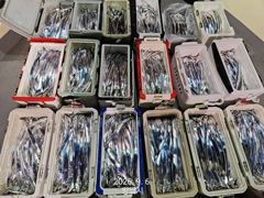2시간전 [격포] 9월5일 부안 한아름호 쭈꾸미 사진