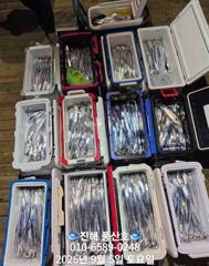 "내만 갈치" 피딩~ 엄청잡고~ 쿨러빵빵~(예약가능합니다) 사진