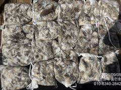[군산] 5일 주간 홈런호 쭈꾸미 마무리조황 사진