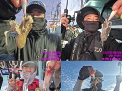 <레인보우호> 쭈꾸미 종일 실시간 조황(6일)-잘나옵니다~! 사진