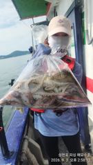 (南)남해조황 - 6일 굿~~싸이즈. 대박쭈꾸미 조황입니다..(내일 선비:7만원..자리 여유 사진